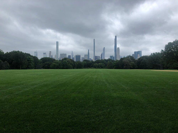 Central Park, 8/29/2020