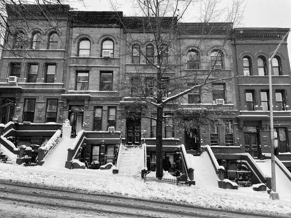 Postcards: Harlem Houses (5)