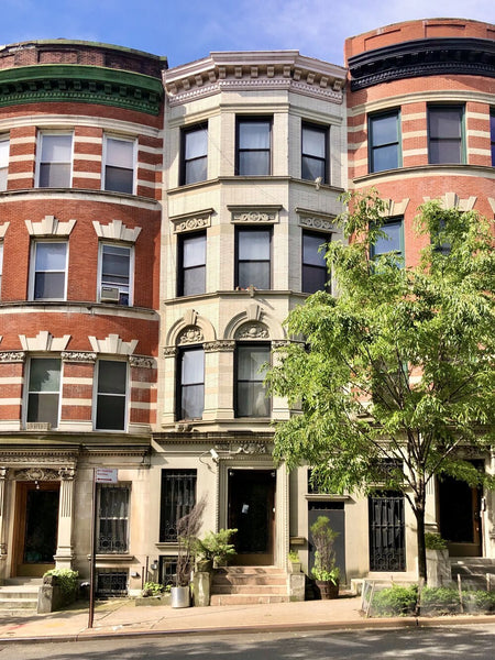 Harlem Townhouses, 5/30/2020