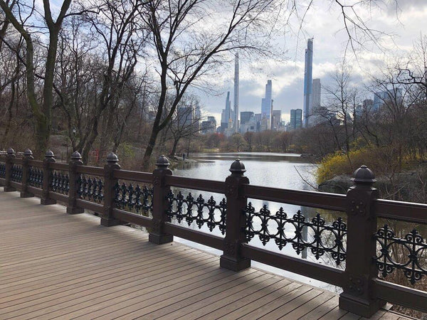 Central Park Oak Bridge, 3/16/2020