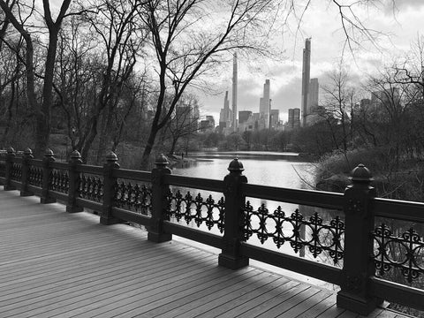 A photo of Central Park Oak Bridge, 3/16/2020 in black and white